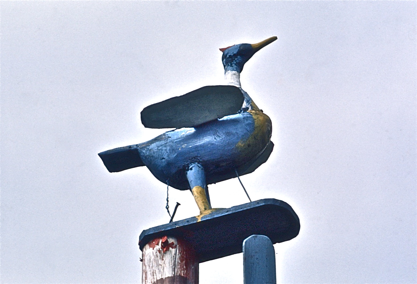 les-patenteux-du-québec