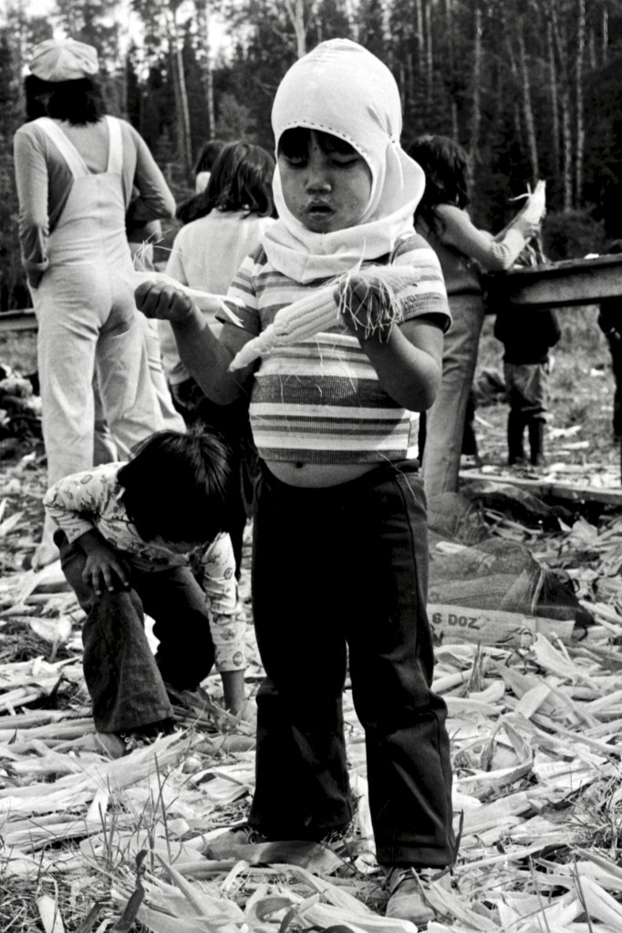 Épluchette de blé d'Inde Wemotaci